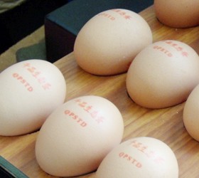 小字符喷码机喷印效果图