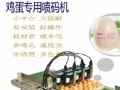 鸡蛋喷码机BNS-V6